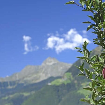 Hahnenkamm Rainegg Leilighet Schenna Eksteriør bilde